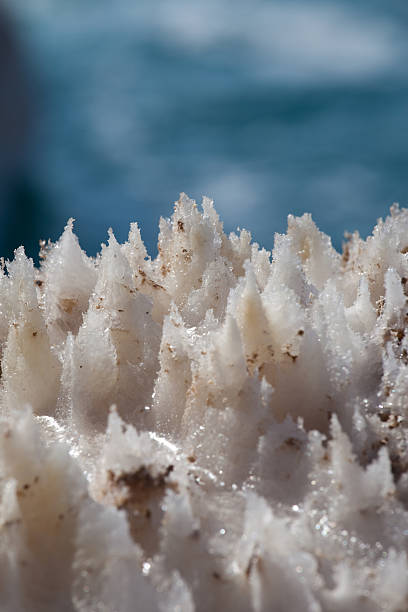 Dead Sea salt crystals stock photo