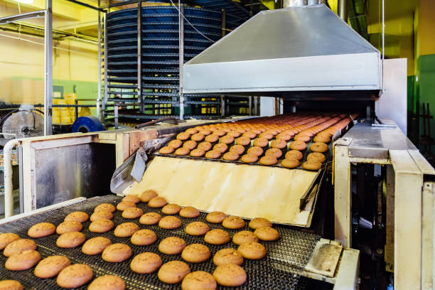 istock Production line of baking oat cookies. Biscuits on conveyor belt 969918312