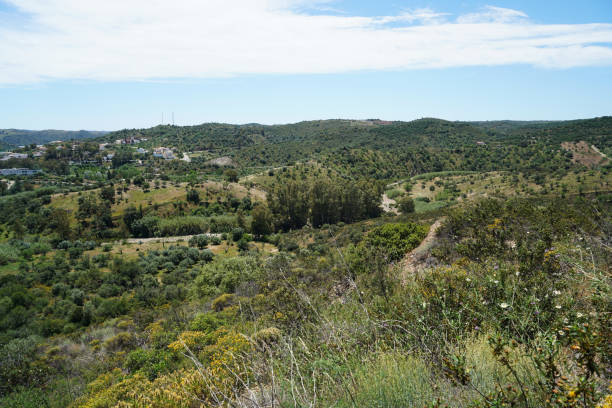 istock Landscape shots in the Portuguese 969924916
