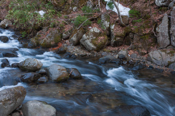 mountain stream april - hokkaido japan stream forest imagens e fotografias de stock