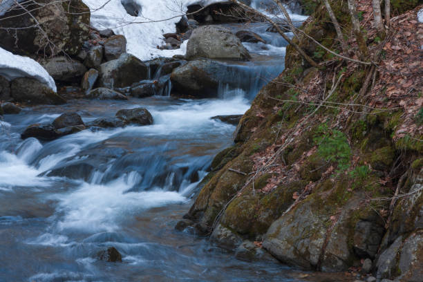 mountain stream april - hokkaido japan stream forest imagens e fotografias de stock