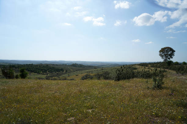 istock Landscape shots in the Portuguese 969930160