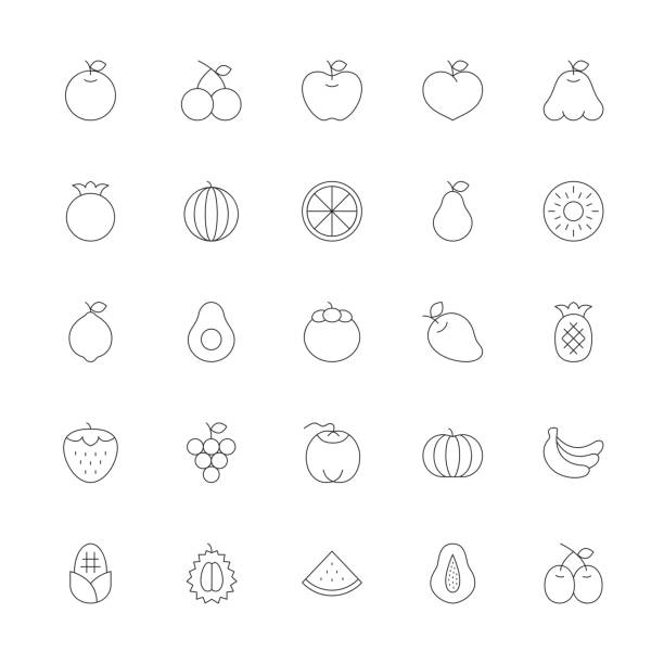 obst-symbol - ultra thin line serie - zitrusfrucht grafiken stock-grafiken, -clipart, -cartoons und -symbole