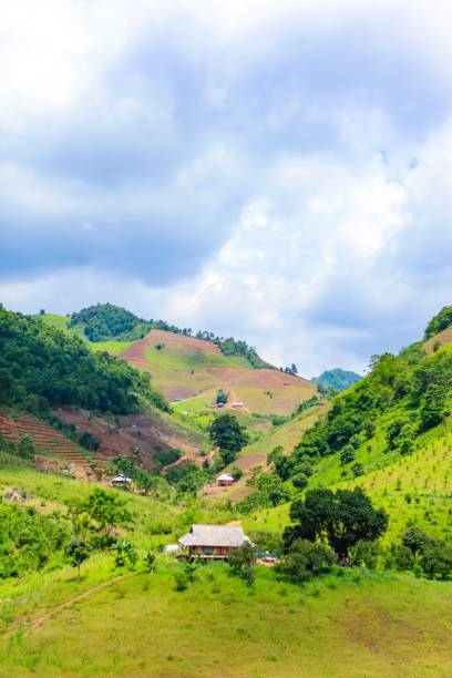 istock Amazing landscape on Moc Chau highland 969933054
