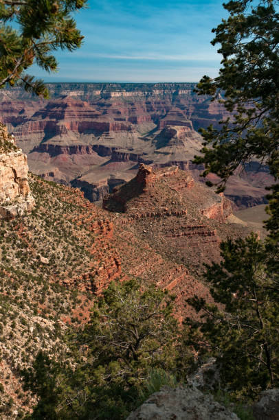 istock Grand Canyon Morning Bright Angel Vertical 969940682