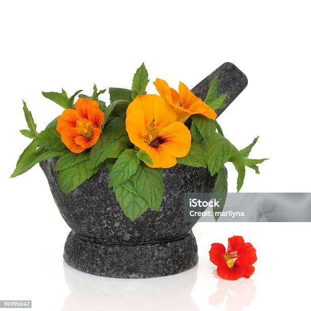 Nasturtium Flower And Mint Herb Stock Photo - Download Image Now - Edible Flower, Nasturtium, White Background