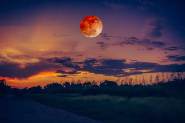 Beautiful countryside area at night. Attractive red blood moon on dark sky with cloudy above silhouettes of trees. Serenity nature background. The moon taken with my camera.