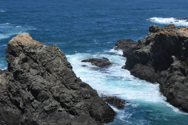 istock Northern California's Mendocino Pacific Coast 969967524