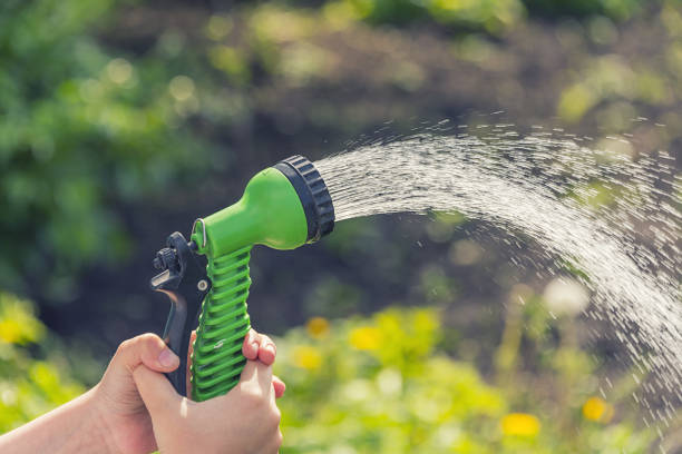 istock Hands with a hose pour water on the garden 969970868