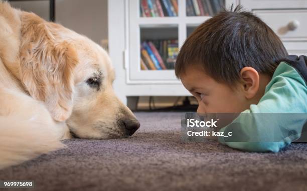 Little Boy Staring At His Dog Stock Photo - Download Image Now - Dog, Child, Staring