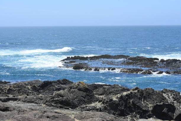 istock Northern California's Mendocino Pacific Coast 969978600
