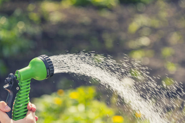 istock Hands with a hose pour water on the garden 969981636