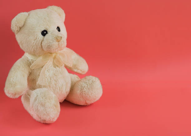 istock Toy soft teddy on the pastel color background. 969981968