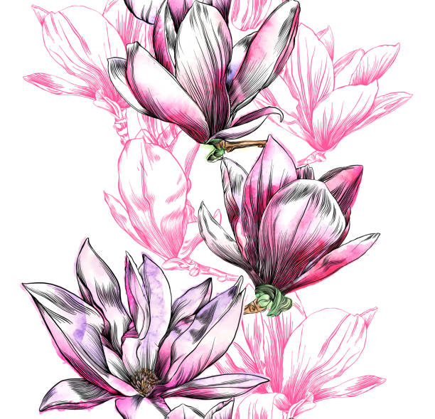 ilustraciones, imágenes clip art, dibujos animados e iconos de stock de patrón de flor de magnolia inconsútil con acuarela y pluma y tinta - magnolia single flower flower spring