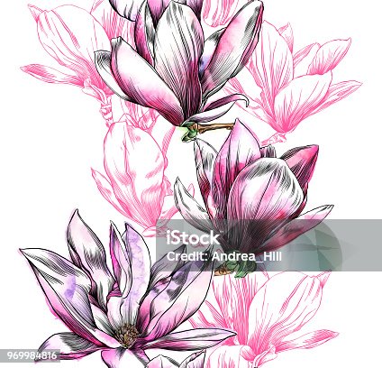 istock Seamless Magnolia Flower Pattern with Watercolor and Pen and Ink Elements 969984816