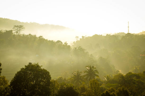 istock A Beautiful Misty Landscape at Sunrise 970007282