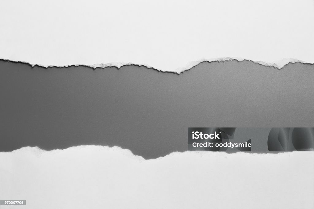 papel blanco roto sobre fondo gris. rasgar papel de colección - Foto de stock de Papel libre de derechos