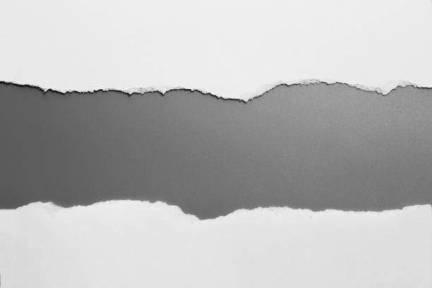 white torn paper on gray background. collection paper rip white torn paper on gray background. collection paper rip newspaper headline photos stock pictures, royalty-free photos & images