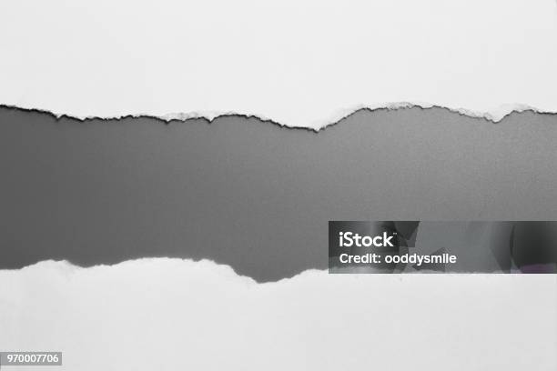 White Torn Paper On Gray Background Collection Paper Rip Stock Photo - Download Image Now