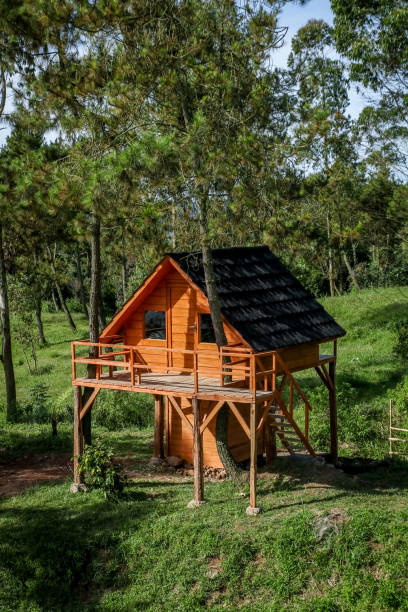istock A Wooden Tree House in the Middle of a Forest for Glamorous Camping, Mount Papandayan, West Java, Indonesia, Asia 970007760