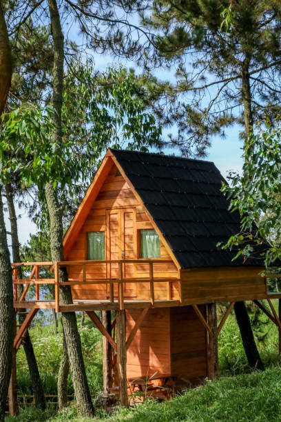 istock A Wooden Tree House in the Middle of a Forest for Glamorous Camping, Mount Papandayan, West Java, Indonesia, Asia 970008022