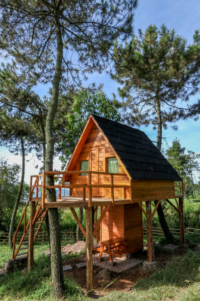 istock A Wooden Tree House in the Middle of a Forest for Glamorous Camping, Mount Papandayan, West Java, Indonesia, Asia 970008122