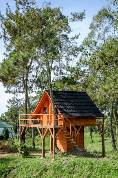 istock A Wooden Tree House in the Middle of a Forest for Glamorous Camping, Mount Papandayan, West Java, Indonesia, Asia 970012232