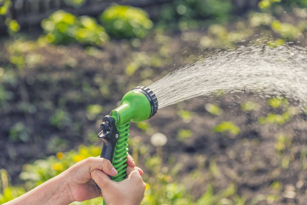 istock Hands with a hose pour water on the garden 970012612