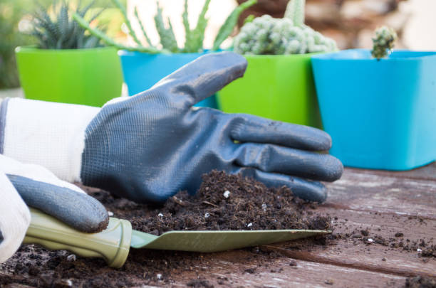 istock Close up shot of hands working with soil 970018332
