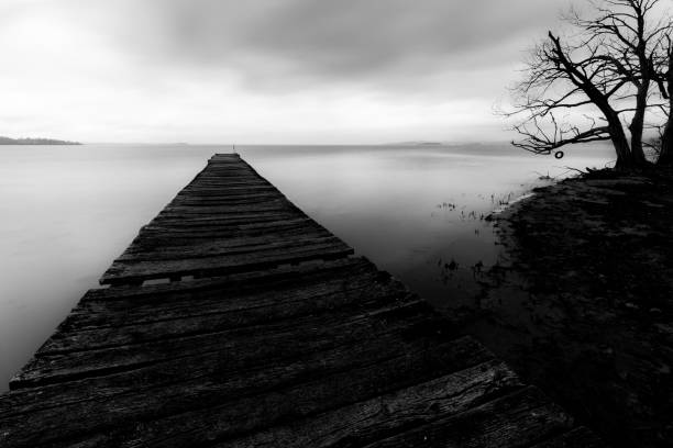 istock Long exposure first person view of a pier on a lake, with a tree 970029082