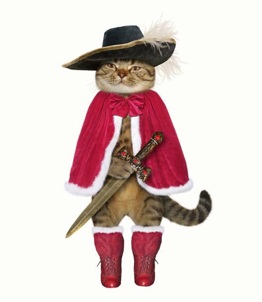 Cat musketeer with a sword