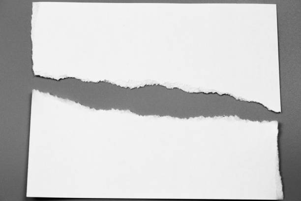 istock white torn paper on gray background. collection paper rip 970054030