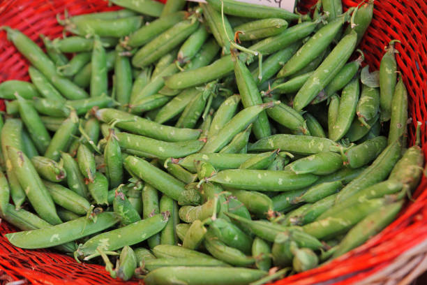 istock Peas in pod at the market 970064240