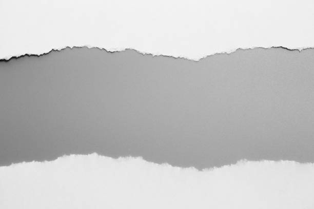 istock white torn paper on gray background. collection paper rip 970070382