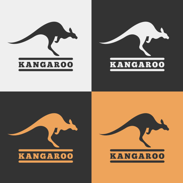 Vector kangaroo icon. Vector kangaroo icon. wallaby stock illustrations