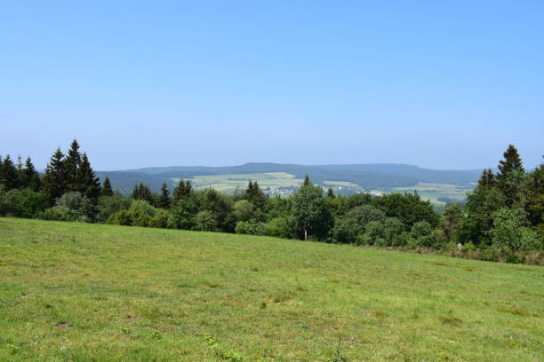 istock wide landscape with pagan plants and trees 970078998