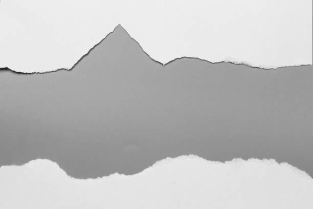 istock white torn paper on gray background. collection paper rip 970082724