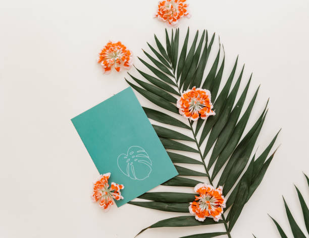 istock Card on pastel background with tropical leaf. Summer vacation concept, Mock up template 970086278