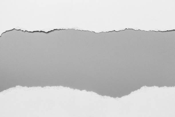 istock white torn paper on gray background. collection paper rip 970090410