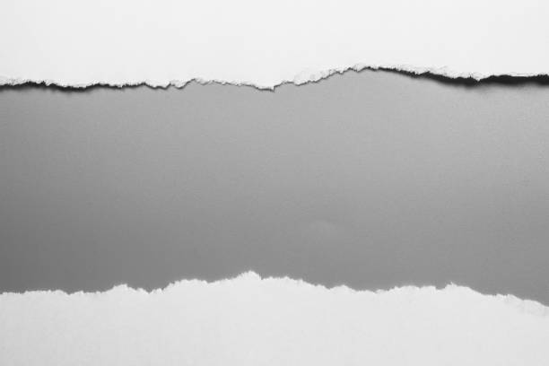 istock white torn paper on gray background. collection paper rip 970091508