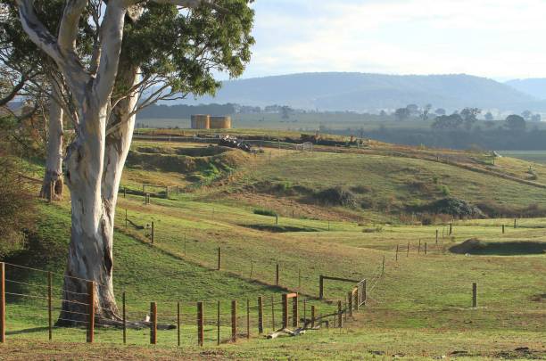 istock A rolling farming landscape in Australia. 970096326