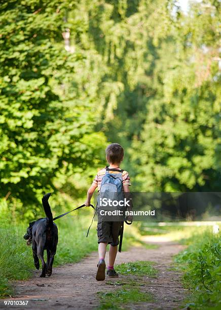 Photo libre de droit de Kid Avec Un Chien banque d'images et plus d'images libres de droit de Retriever du Labrador - Retriever du Labrador, Vue de dos, 6-7 ans