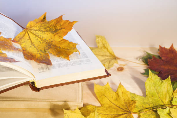 istock Open book with colored autumn leaves on wooden table. 970109314