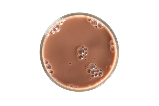 Glass of chocolate milk