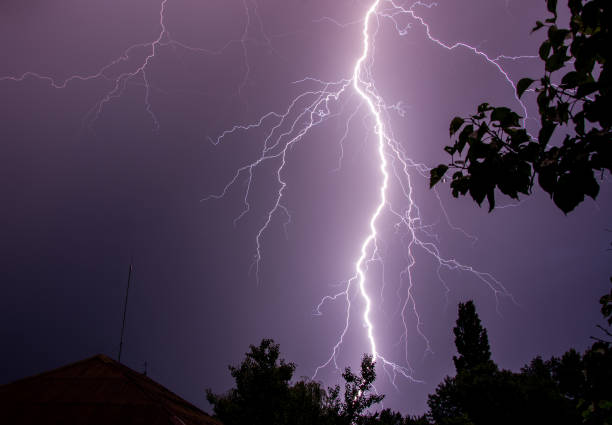 istock Huge lightning on night sky with trees silhouettes 970114156