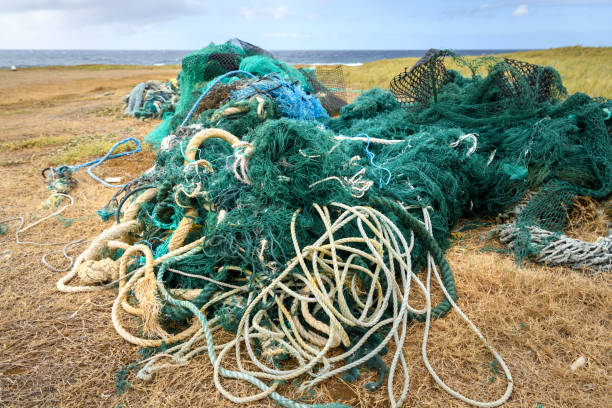 istock Rubbish by the ocean 970117754
