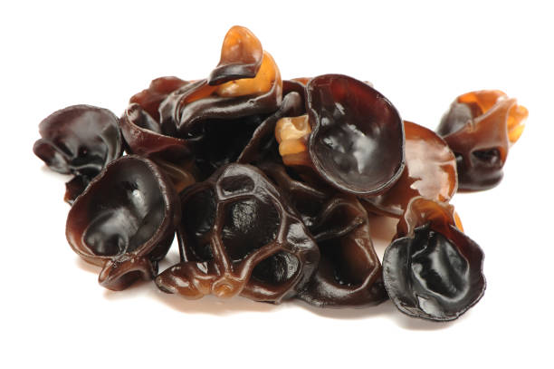 istock Black fungus on a white background 970132116
