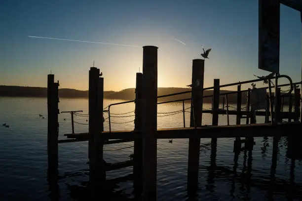 In Summer the mornings at lake constance create very special moments