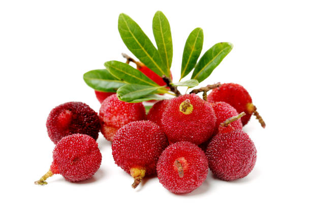 istock Myrica rubra on white background 970133232