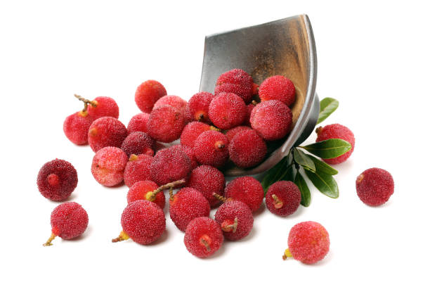 istock Myrica rubra on white background 970133324